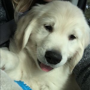 Meet your Posher, Catherine